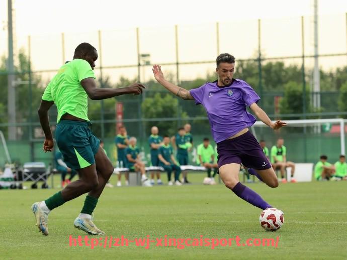 杏彩体育-世俱杯技术委员会职责说明及评估赛事技术执行能力