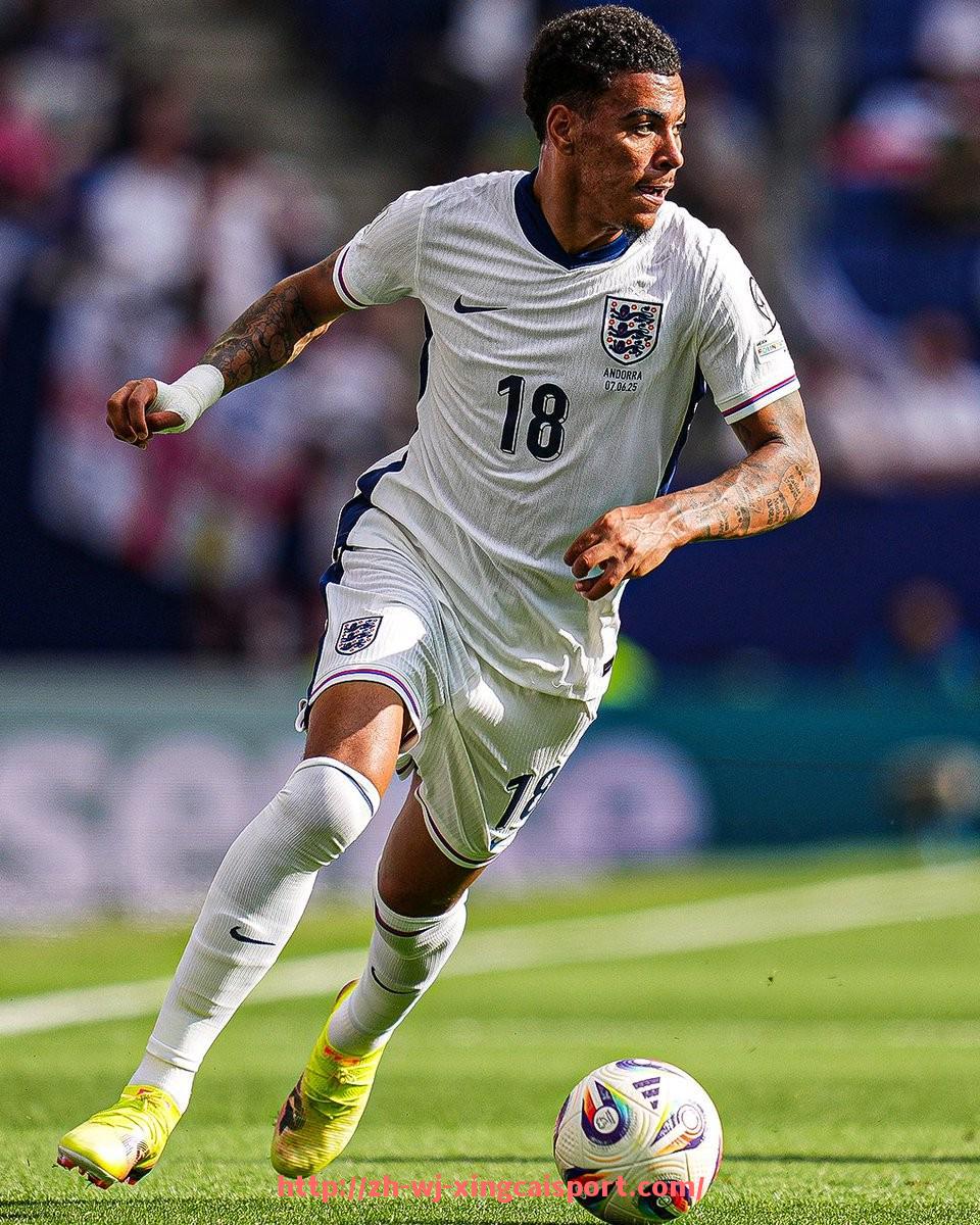 杏彩体育-尼日利亚籍英超球员及其在球队中的重要作用