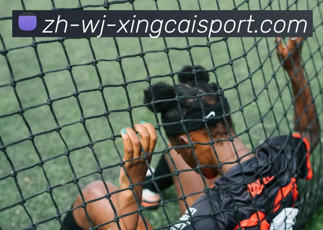 杏彩体育APP 封面图